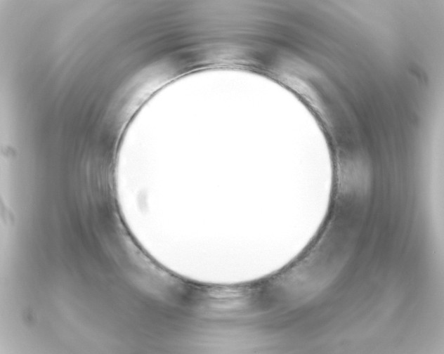 X0000091191338200708091015