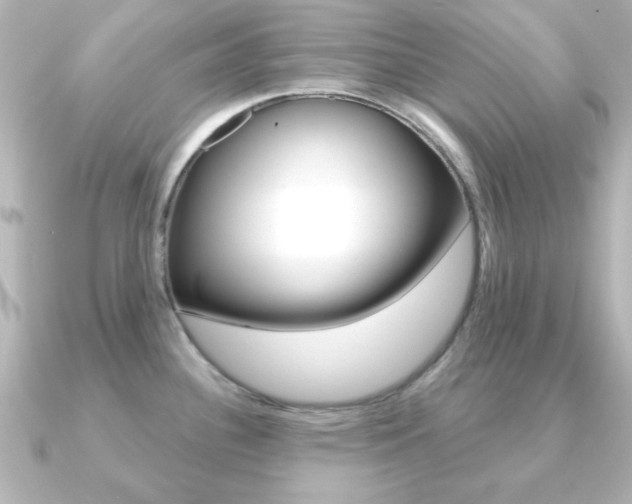 X0000091191340200708091015