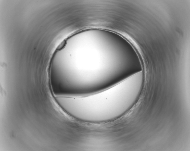 X0000091191341200708091015
