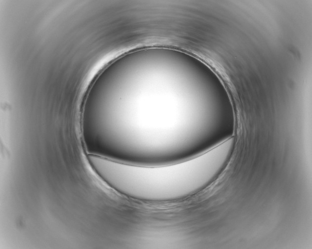 X0000091191342200708091015
