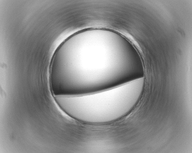 X0000091191343200708091015