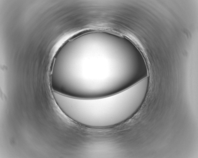X0000091191344200708091015