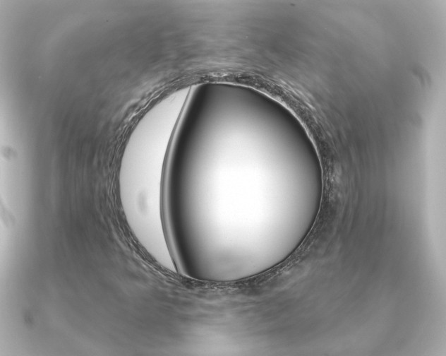 X0000091191349200708091015