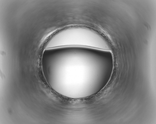 X0000091191352200708091015