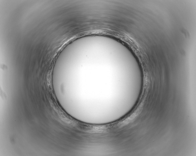 X0000091191353200708091015