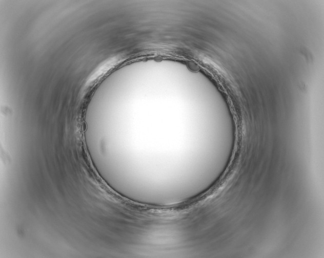 X0000091191354200708091015