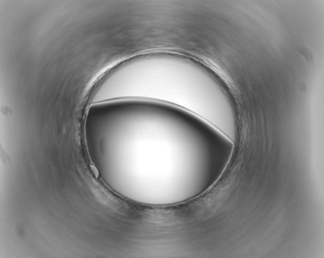 X0000091191356200708091015