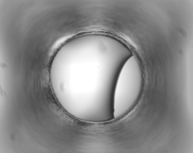X0000091191358200708091015
