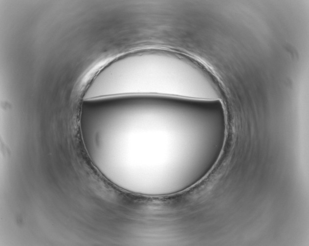 X0000091191359200708091015