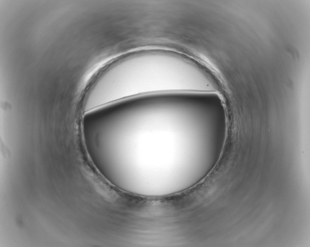 X0000091191360200708091015