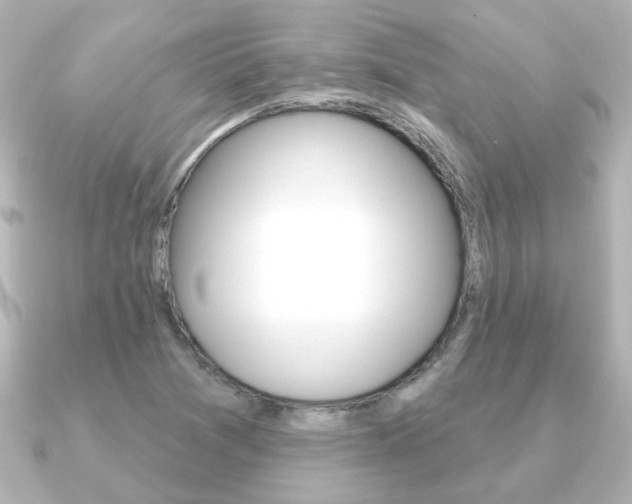 X0000091191361200708091015