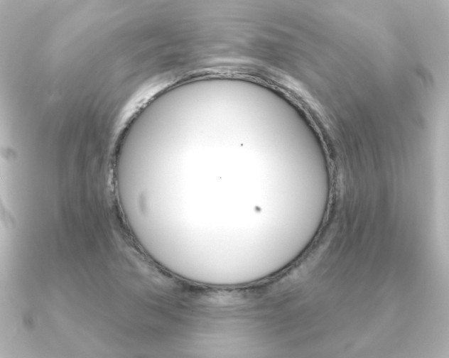 X0000091191362200708091015