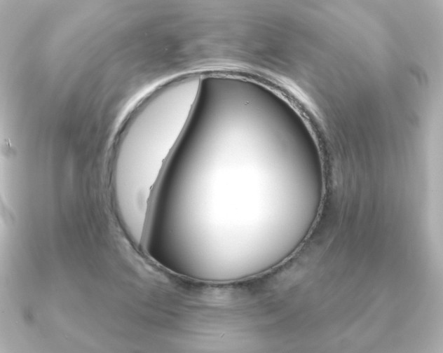 X0000091191364200708091015