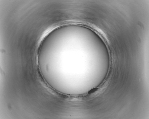 X0000091191365200708091015