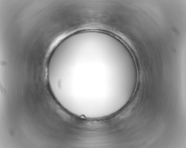 X0000091191366200708091015