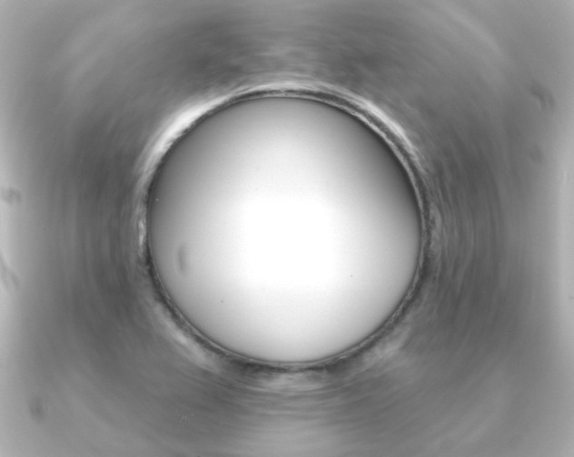 X0000091191367200708091015