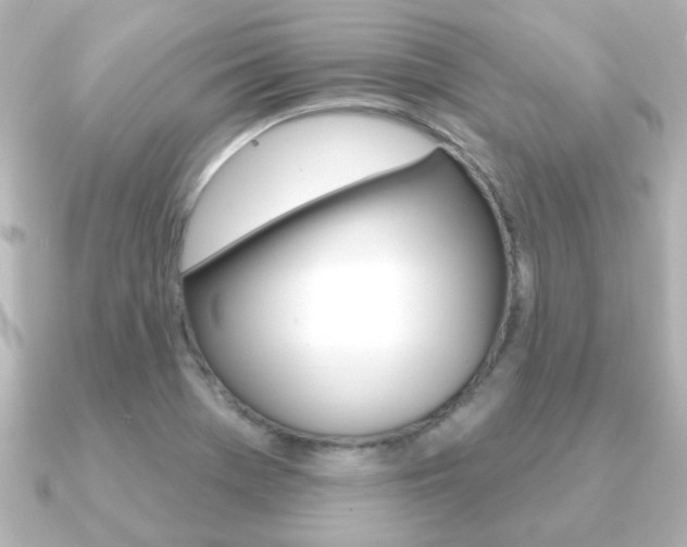 X0000091191369200708091015