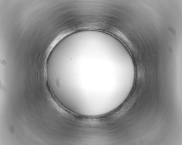 X0000091191370200708091015