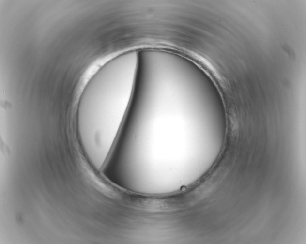 X0000091191371200708091015