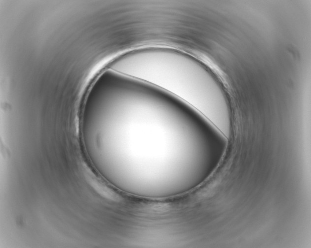 X0000091191372200708091015