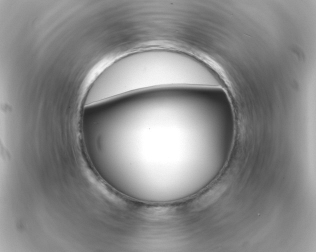 X0000091191373200708091015