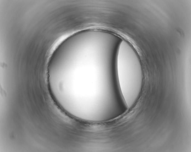 X0000091191375200708091015