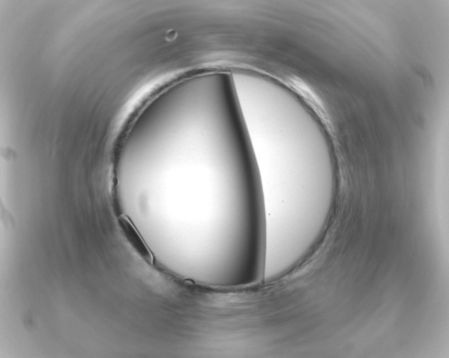 X0000091191376200708091015