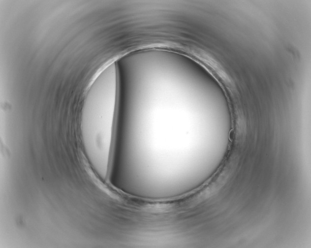 X0000091191377200708091015