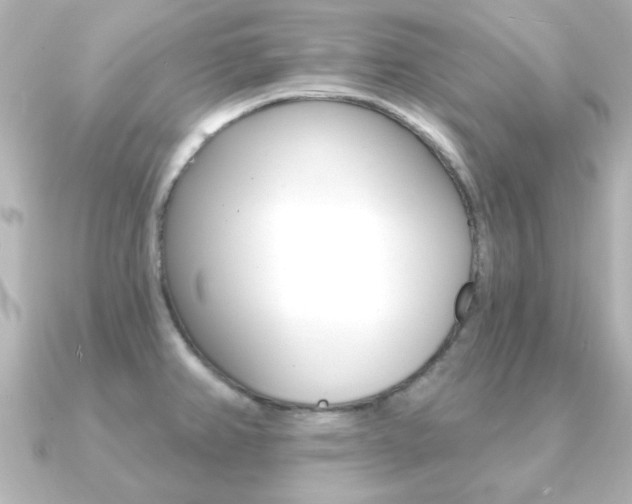 X0000091191382200708091014