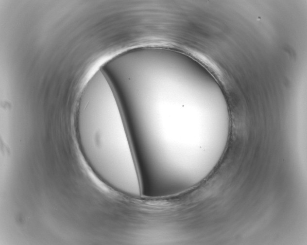 X0000091191383200708091014