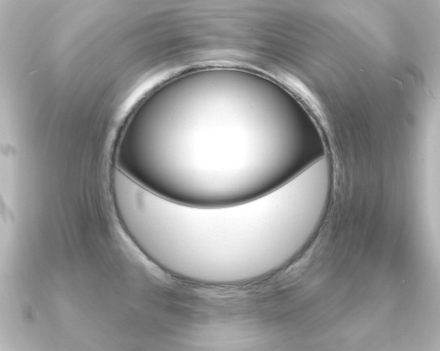 X0000091191384200708091014