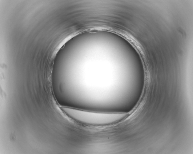 X0000091191385200708091014
