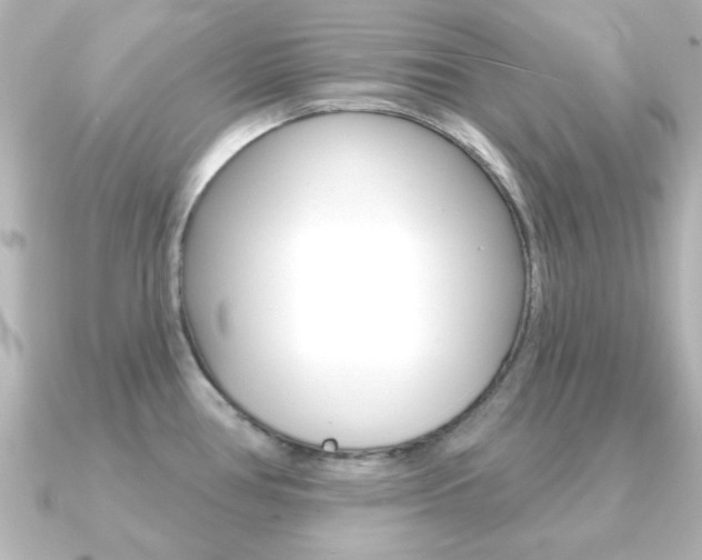 X0000091191386200708091014