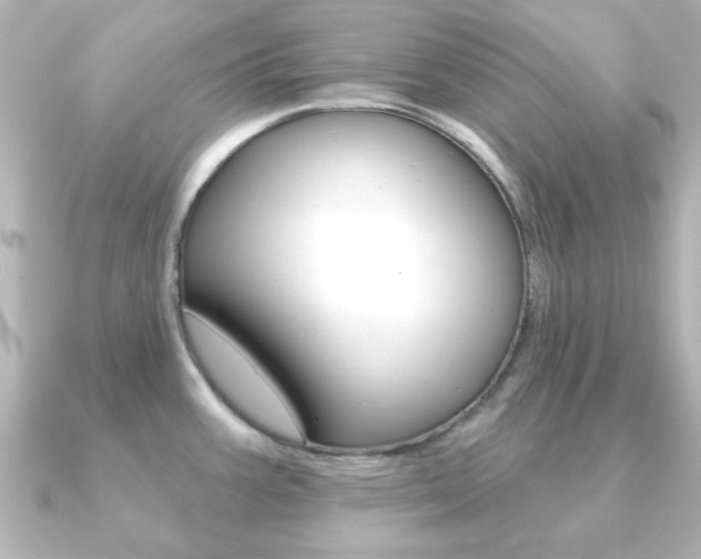 X0000091191387200708091014