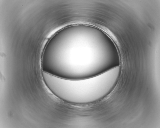 X0000091191388200708091014