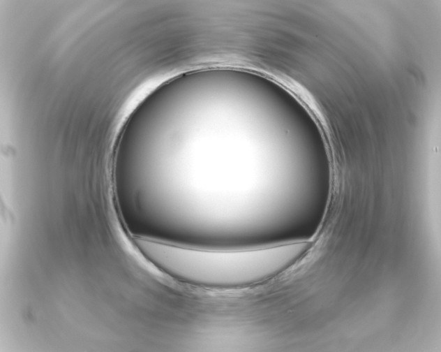 X0000091191389200708091014