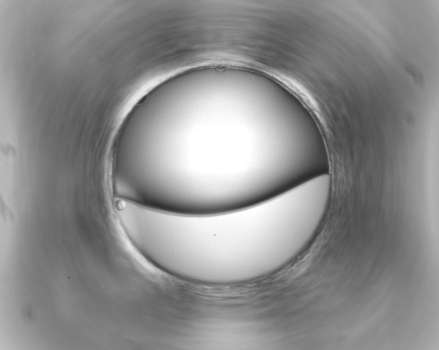 X0000091191391200708091014