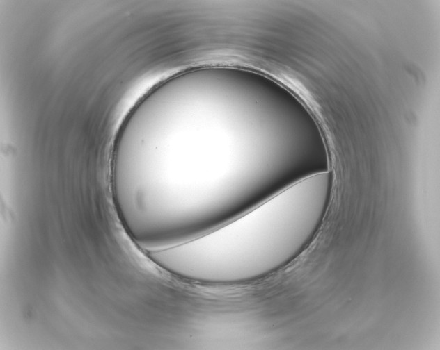 X0000091191392200708091014