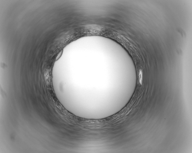 X0000091191395200708091014