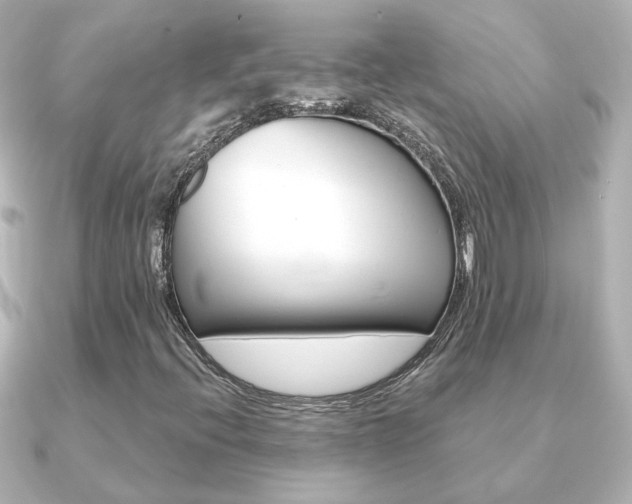 X0000091191396200708091014