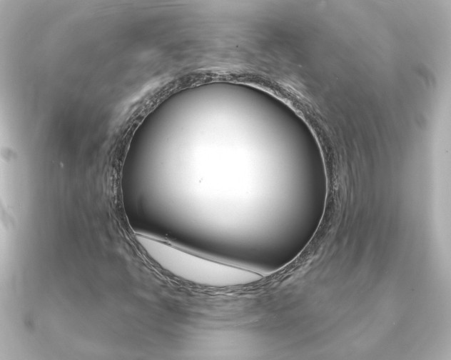 X0000091191398200708091014
