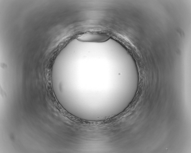 X0000091191399200708091014