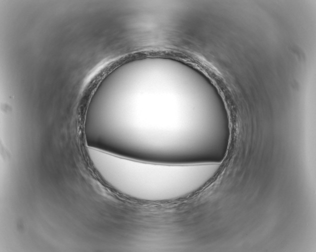 X0000091191400200708091014