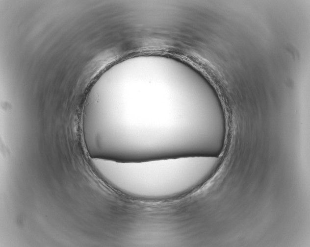 X0000091191401200708091014