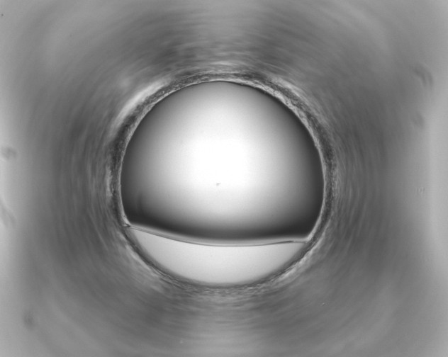 X0000091191402200708091014