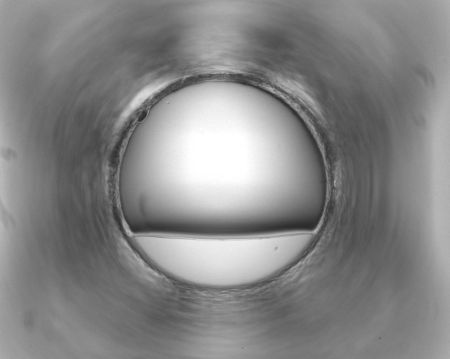 X0000091191404200708091014