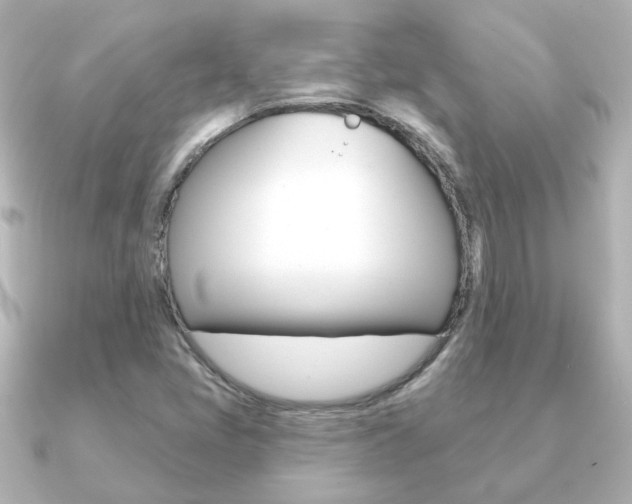 X0000091191405200708091014