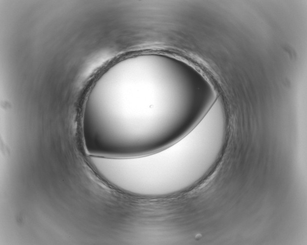 X0000091191406200708091014
