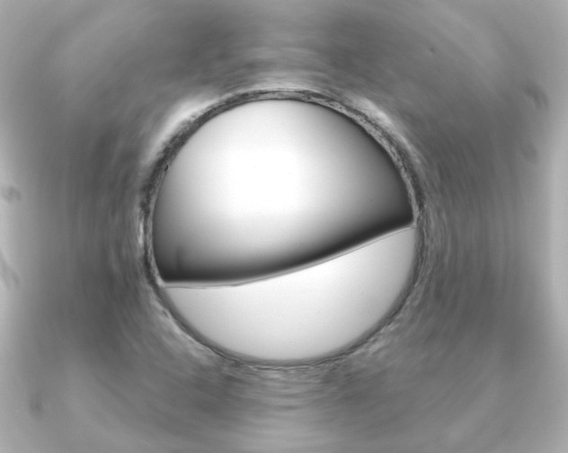 X0000091191408200708091014