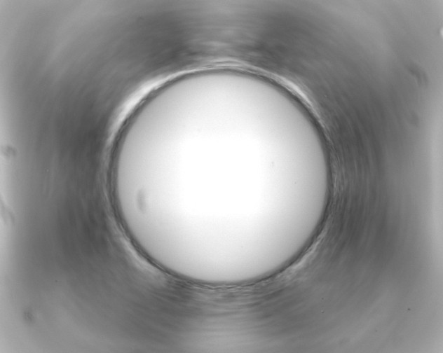 X0000091191414200708091014